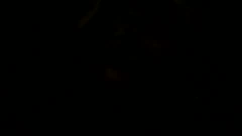 Snapshot of loose565 chatting on 02-23-26, 06:49 loose565 online show from 02-23-26, 06:49