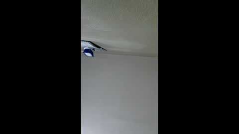 Snapshot of lopezpedro2791 chatting on 01-08-26, 05:10 2791 3D online show from 01-08-26, 05:10