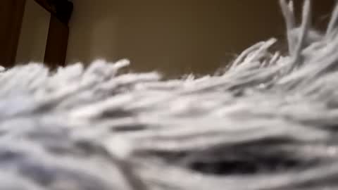 Lora online show from 01-15-25, 08:05