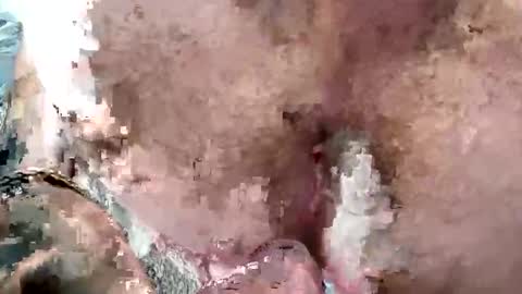 lord47maliby online show from 04-29-26, 05:44