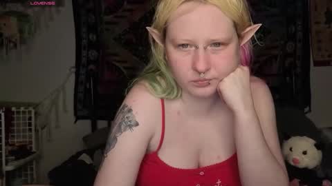 Lori Critter online show from 05-16-26, 12:18