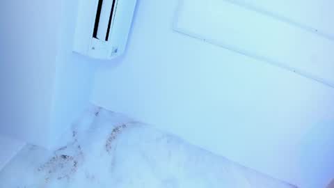 Lotti online show from 05-24-26, 12:15