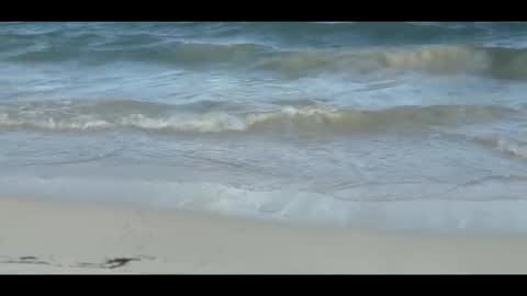 Snapshot of louis_zh chatting on 11-05-25, 09:04 Louis online show from 11-05-25, 09:04