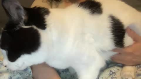 Kate online show from 03-01-26, 12:40