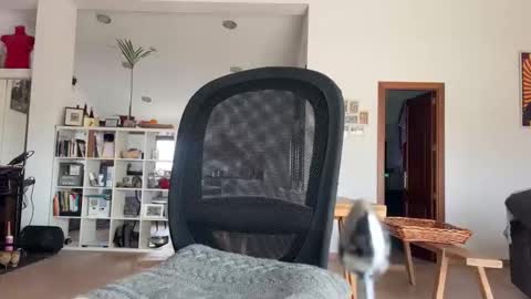 Loveisperfect online show from 01-17-26, 10:31