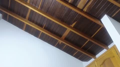 Trix online show from 01-20-25, 11:45