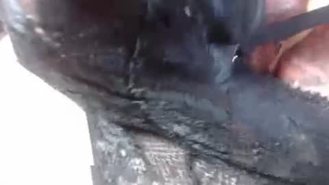 Mature lover2 online show from 02-27-25, 09:14