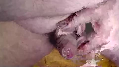 Snapshot of lover_troll chatting on 02-16-26, 10:44 lover_troll online show from 02-16-26, 10:44