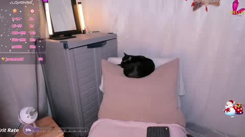 Danna online show from 12-03-25, 10:52