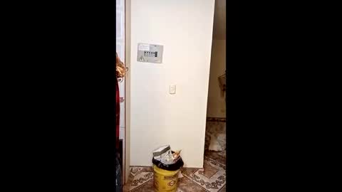 luana363 online show from 01-11-26, 04:50