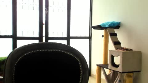 Snapshot of luara__01__lecat_1 chatting on 11-24-25, 05:34 luara__01__lecat_1 online show from 11-24-25, 05:34