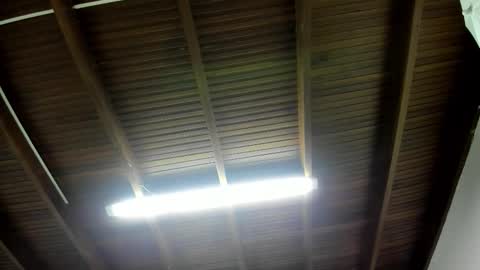 luca_morettii online show from 11-05-25, 12:16