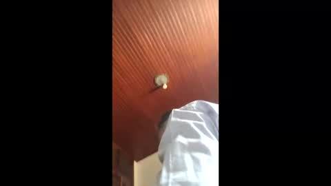 lucas online show from 01-16-26, 04:55