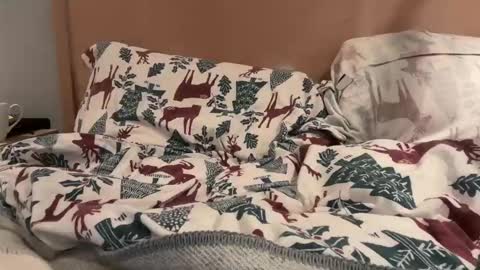 lucca_d123 online show from 09-22-25, 07:21