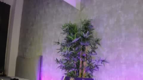 lucyrayy online show from 02-04-26, 10:58