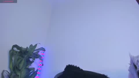 Snapshot of lucyshen_ chatting on 11-07-25, 01:16 luciana online show from 11-07-25, 01:16