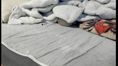 Snapshot of luffykun300 chatting on 04-06-26, 12:52 luffykun300 online show from 04-06-26, 12:52