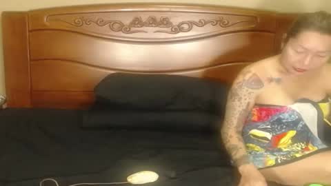 lulu_wild online show from 02-25-26, 11:14