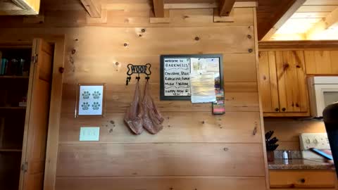 Snapshot of lulupixxx chatting on 01-02-25, 03:19 Connie online show from 01-02-25, 03:19