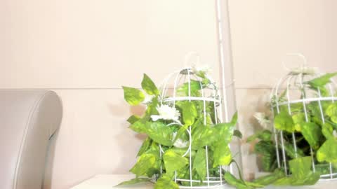 luna_bradley_ online show from 04-22-26, 12:28