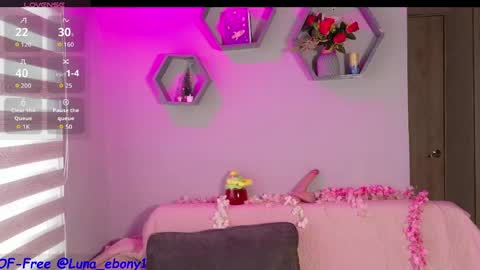 Snapshot of luna_ebony1 chatting on 04-29-26, 02:54 Couple X online show from 04-29-26, 02:54