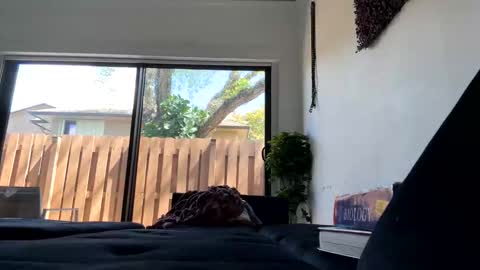 lunaloopzz online show from 03-11-26, 05:52