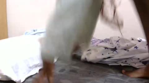 lunargoddess45 online show from 03-03-26, 03:12