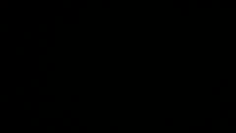 Lion online show from 05-27-26, 05:32