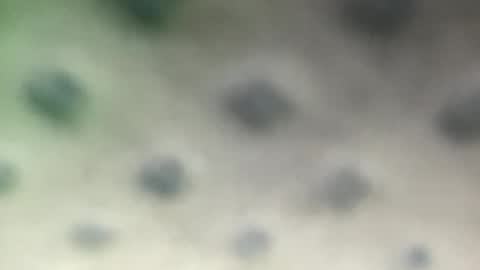 Snapshot of luquita094 chatting on 11-07-25, 11:54 luquita094 online show from 11-07-25, 11:54