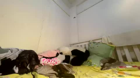 Luscious nita online show from 04-03-26, 07:50