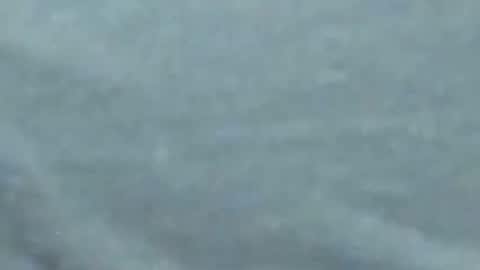 Snapshot of lustgardener67 chatting on 01-27-25, 10:06 lustgardener67 online show from 01-27-25, 10:06