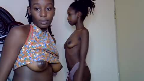 lutino_lovebirds online show from 03-14-26, 11:15