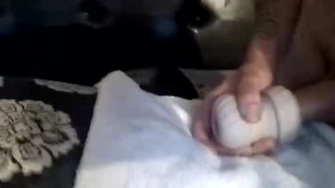 luvbiga554evr online show from 11-05-25, 04:51