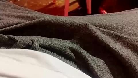 Lvac11 online show from 12-21-24, 10:30