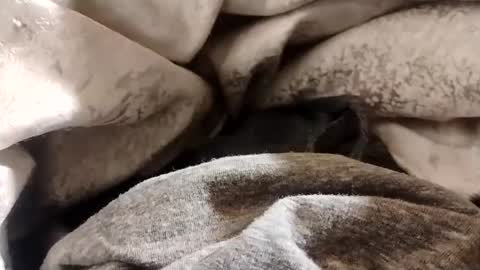 Lvac11 online show from 01-22-25, 12:38