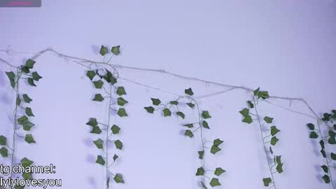 Snapshot of lyly_loveyou chatting on 11-13-25, 05:39 Lyly online show from 11-13-25, 05:39