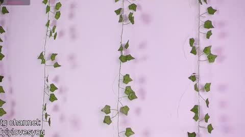 Snapshot of lyly_loveyou chatting on 11-18-25, 05:34 Lyly online show from 11-18-25, 05:34