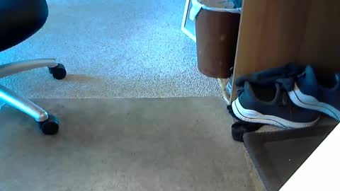 Snapshot of lynne_cd_nj chatting on 10-01-25, 08:26 lynne_cd_nj online show from 10-01-25, 08:26