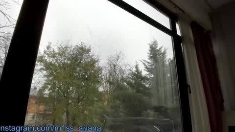 Ariana online show from 12-06-24, 11:44