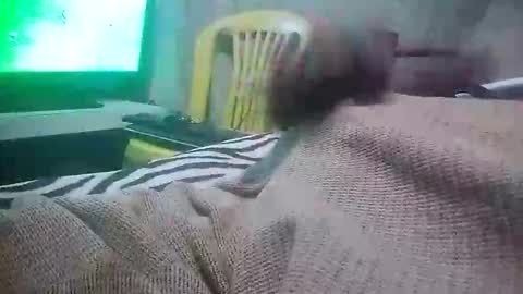 Snapshot of mad415264 chatting on 11-24-25, 03:50 mad415264 online show from 11-24-25, 03:50