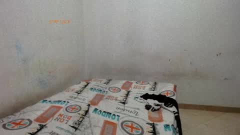 Snapshot of madisson__sexx chatting on 05-29-26, 02:37 Valentina online show from 05-29-26, 02:37