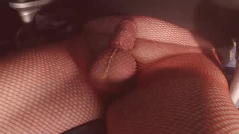 maestro2017 online show from 02-06-26, 11:30