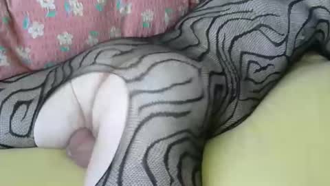 maestro2017 online show from 04-06-26, 06:47