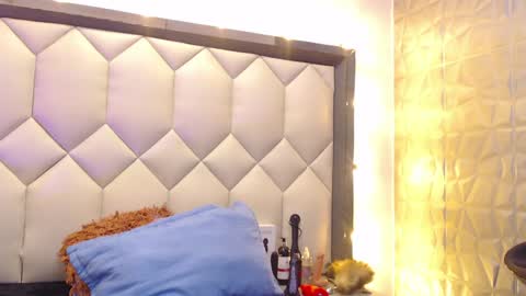 Snapshot of maiapark chatting on 01-22-25, 08:49 Maia online show from 01-22-25, 08:49