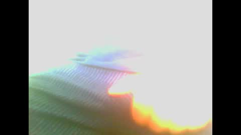 maioris6 online show from 02-22-25, 08:07