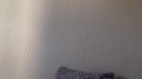 majo_gomezz online show from 03-20-26, 07:41