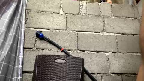 Tinaj online show from 03-04-26, 08:31