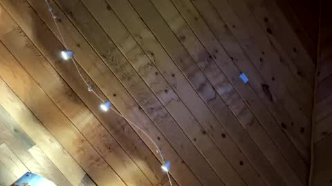 makeyousquirt1969 online show from 02-10-26, 07:56