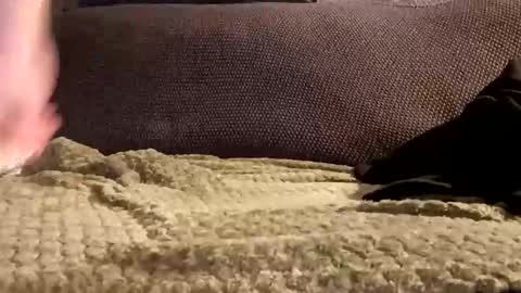 mako998843 online show from 01-06-26, 10:01