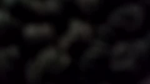 malecougar online show from 12-28-24, 11:59